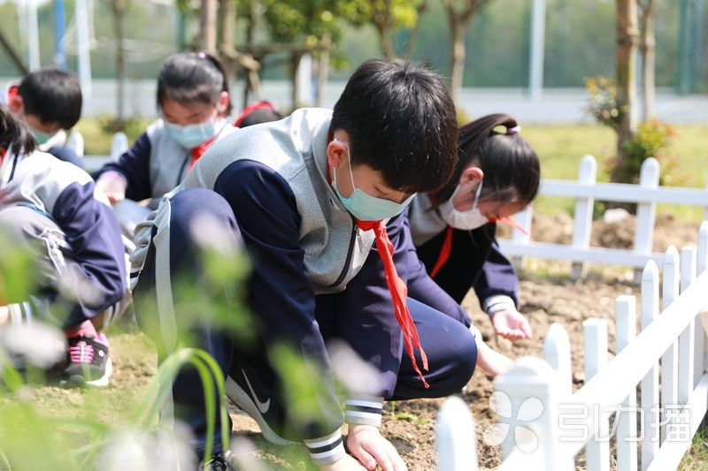 提升应用水平须构建良好数字学习生态