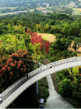 1764573038864678.png image.png